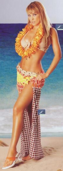 aracely arambula