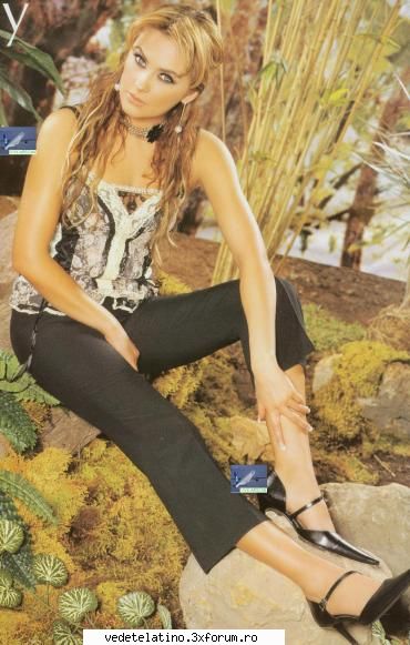 aracely arambula