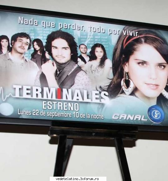 terminales